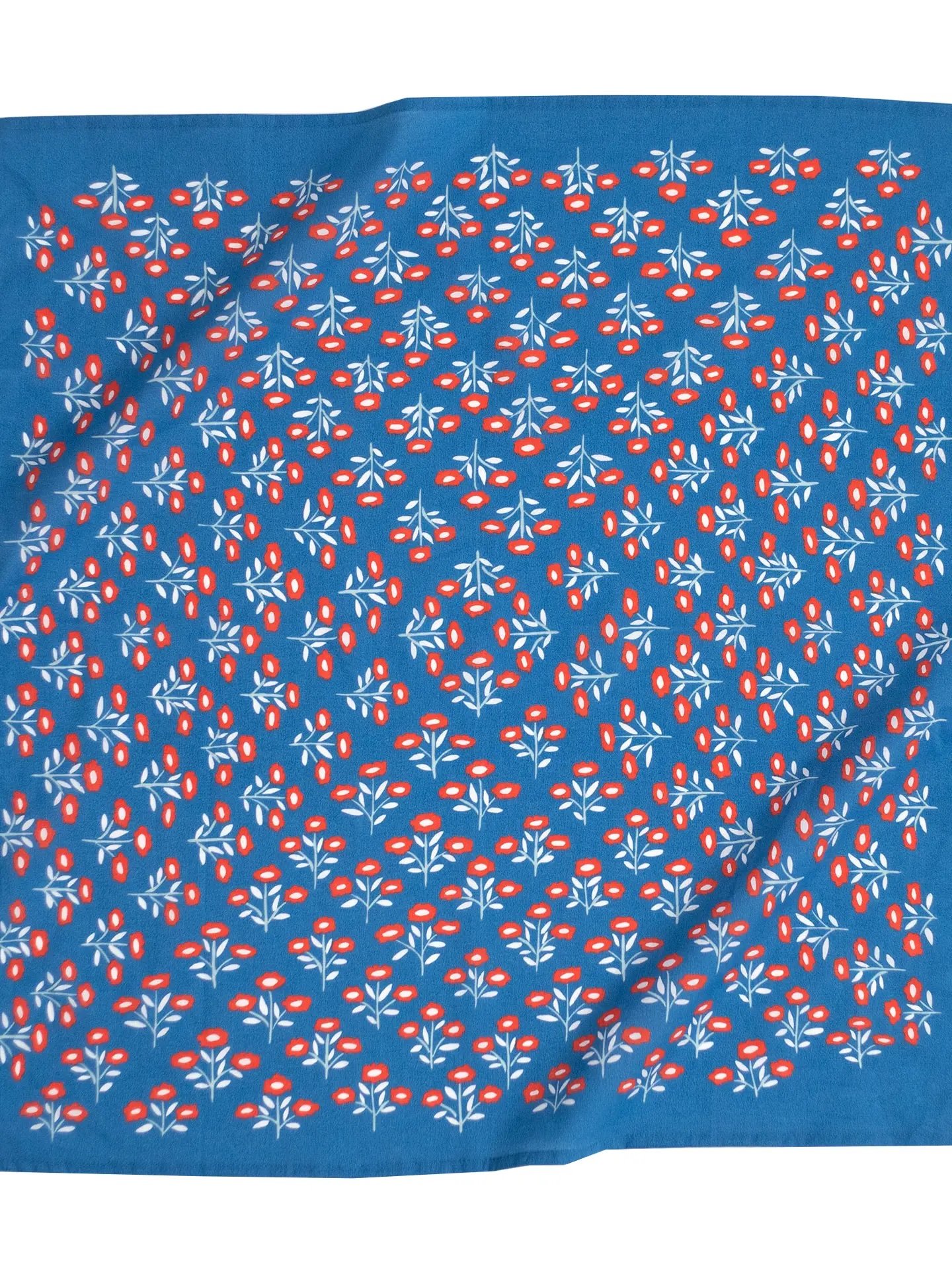 f100f5aa990bd5ff9378dc1ba4ba747b2168c14843420635124b4df7b5a80a74.png.jpeg