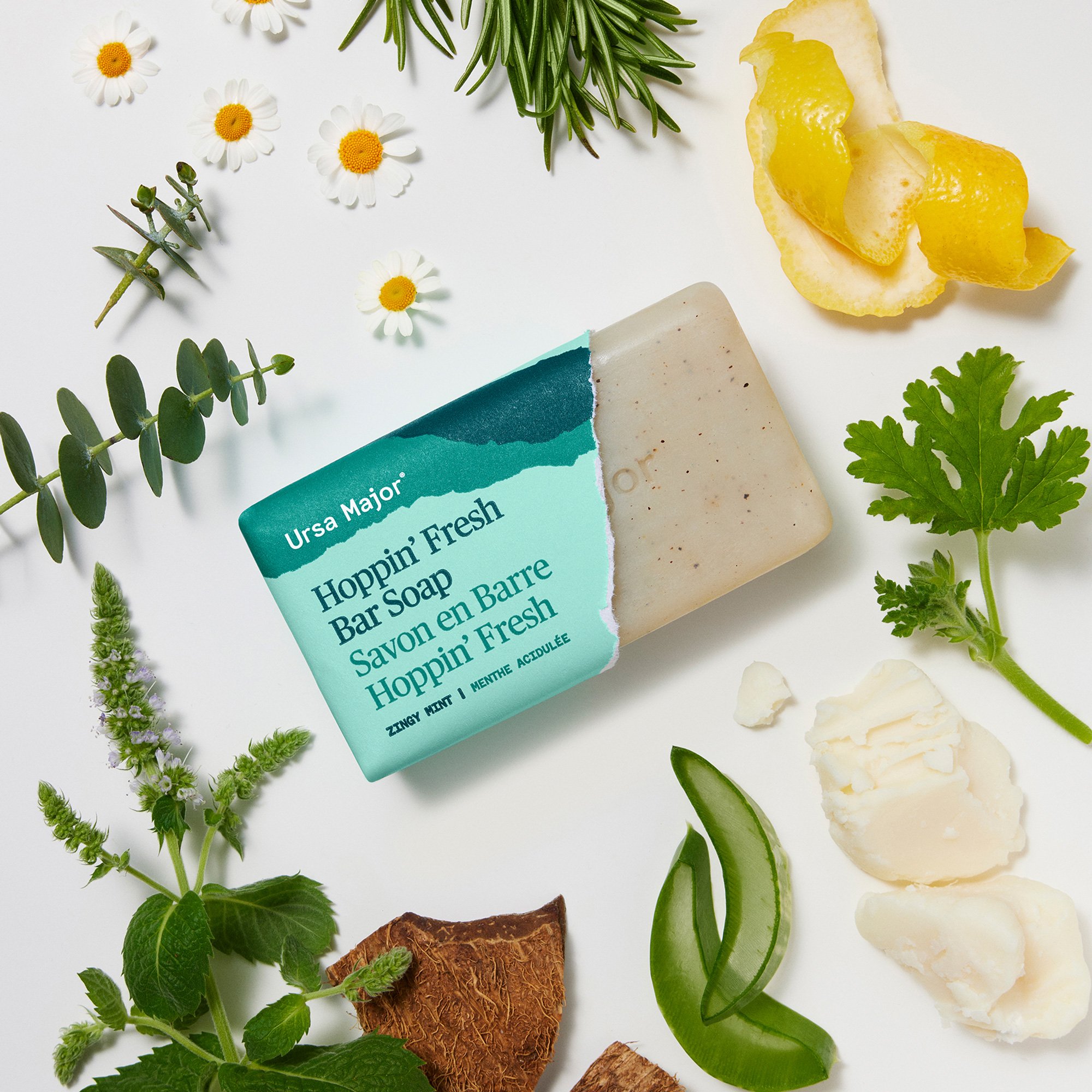 Hoppin-Fresh-Bar-Soap-06.jpg