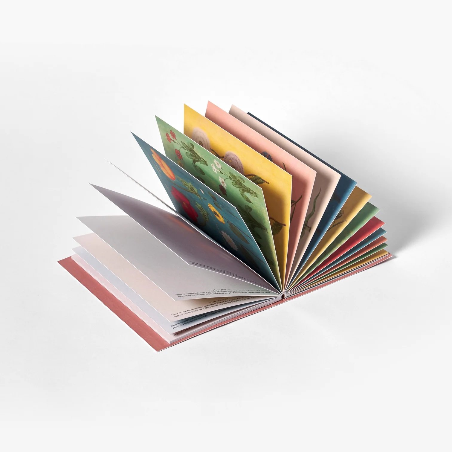 PostcardBookFestivalofFlowersProductImage2_1512x.jpg.jpeg
