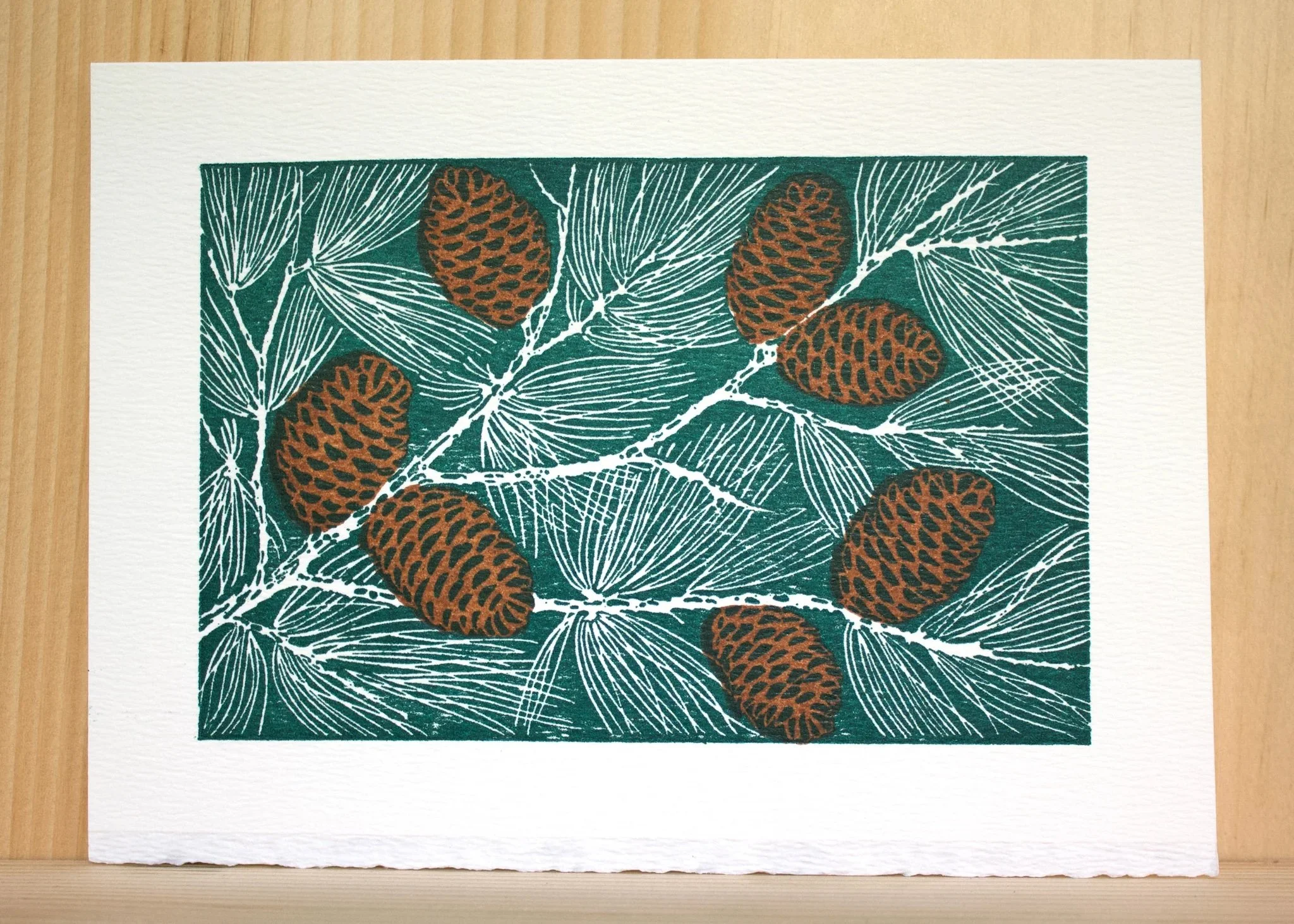 0387_Pinecones_ee305a92-0654-4de9-8214-a165de07f849.jpg.jpeg