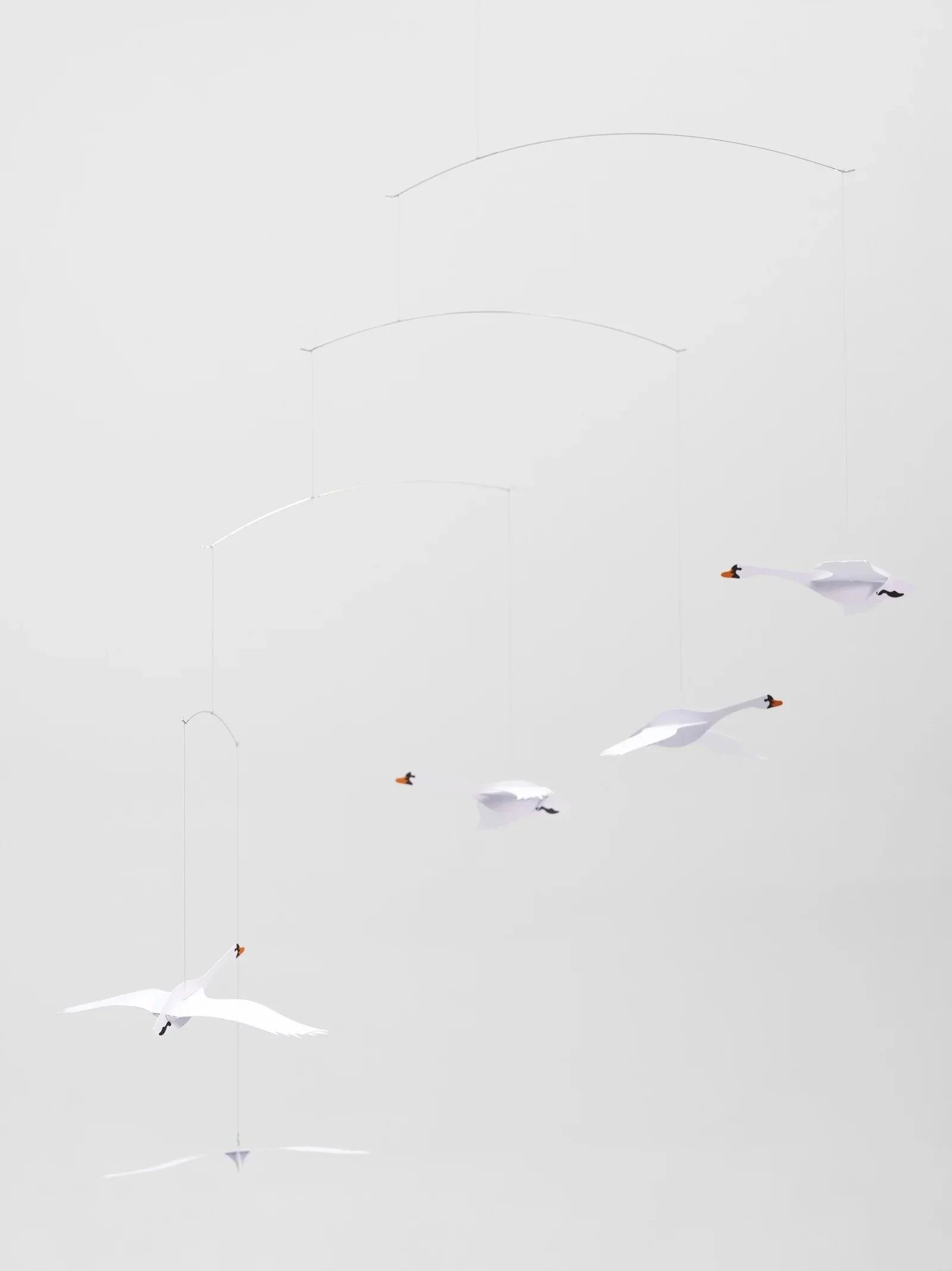 Scandinavian_Swans-4-semi_f920dbef-9937-44a4-a8a1-e425d7d3722b.jpg.jpeg