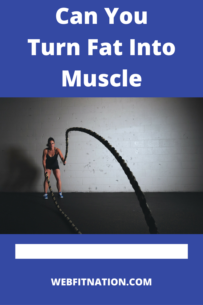 Can Fat Be Turned Into Muscle?