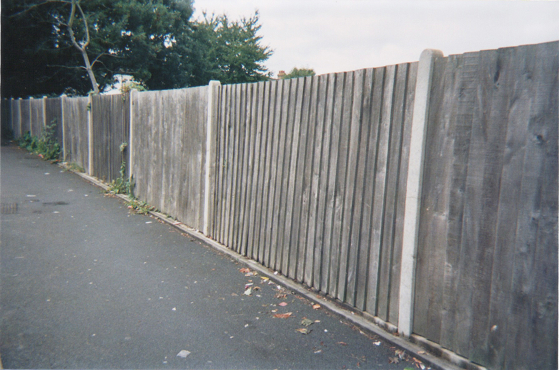 Scan 3sharper.jpg