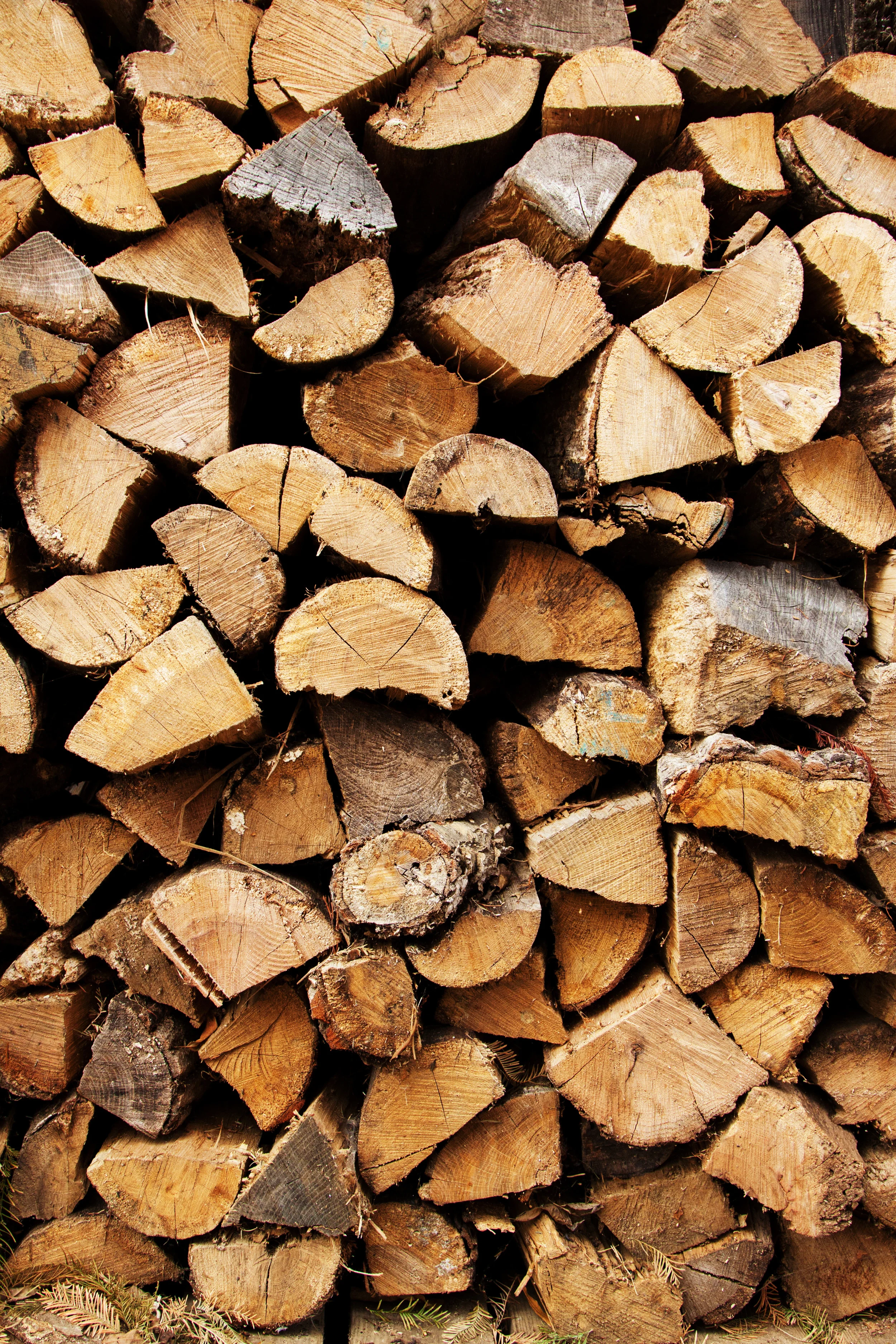 woodpile.jpg