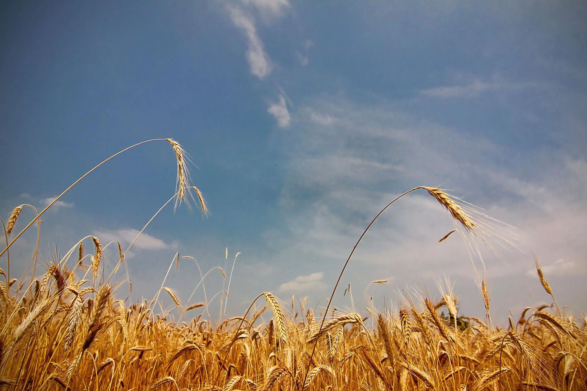 stock-photo-51186716.jpg