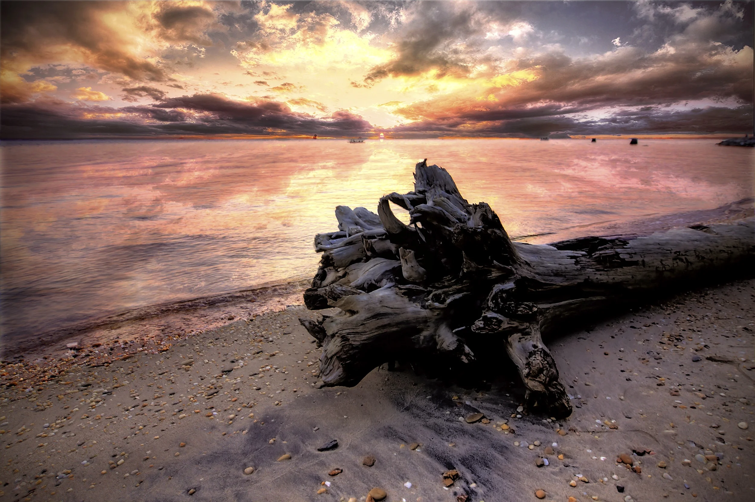drift wood part 2.jpg