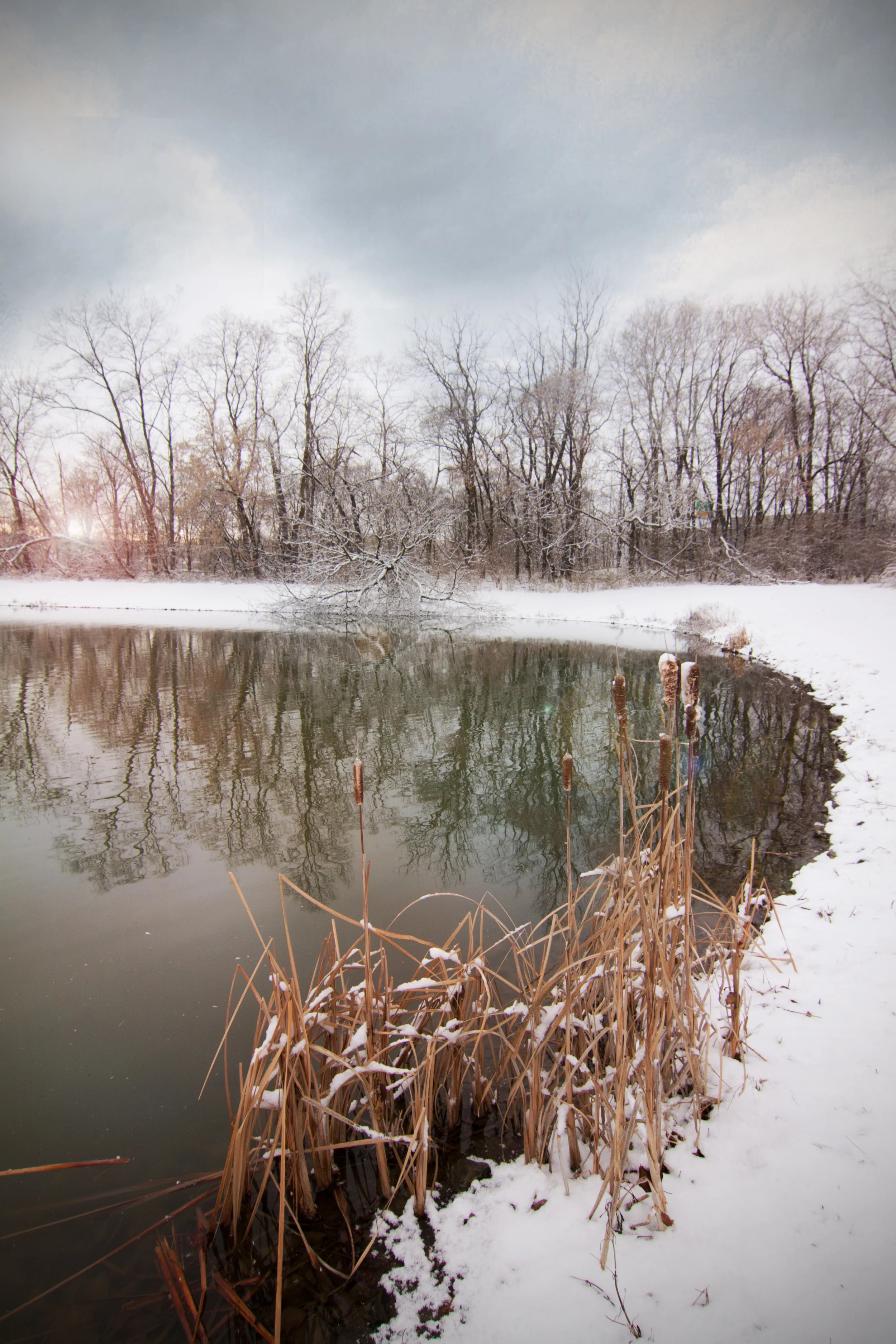 snow scene 2.jpg