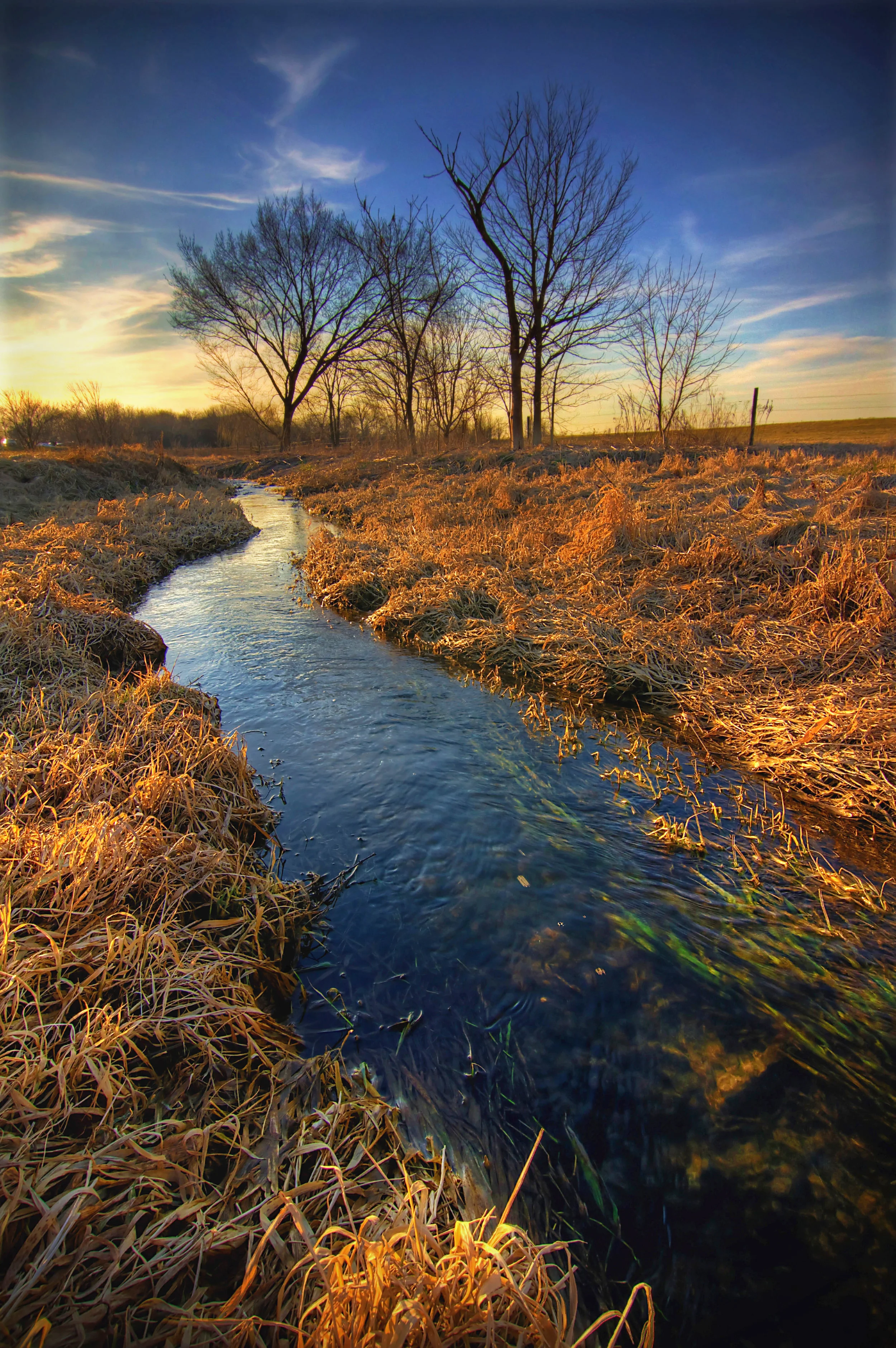 the creek.jpg