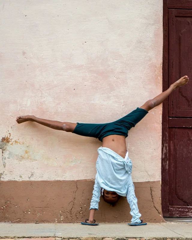 What Makes Spruce Special