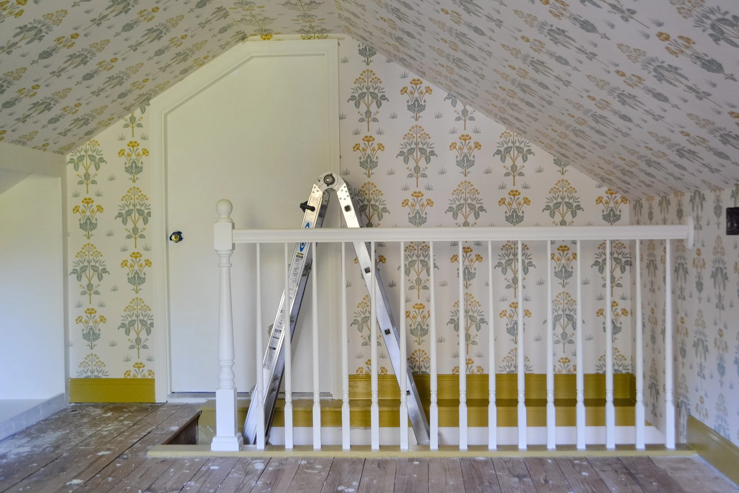 ORC Week 7: A fast and furious final week!!