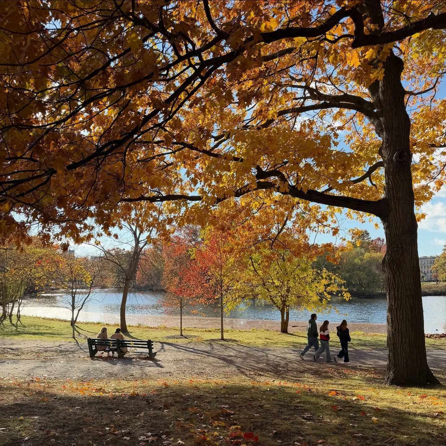 More Boston highlights, which are mostly charming architectural details I don&rsquo;t want to forget for future projects.✨
