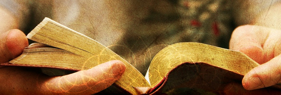 Bible Website Banner.png