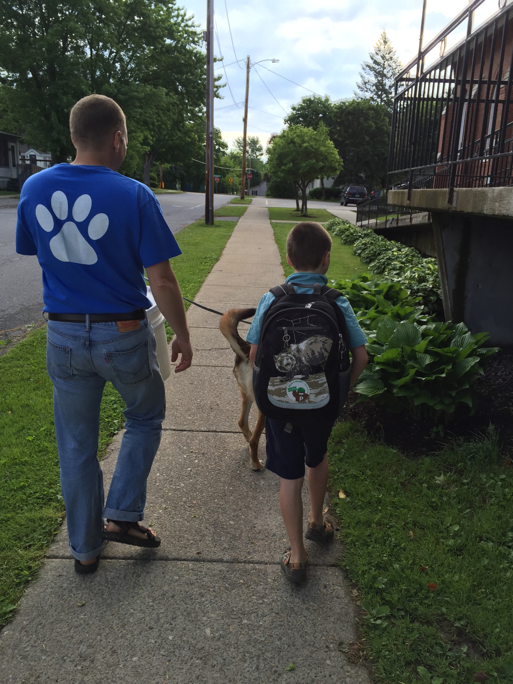 Many children walk or bike to school in vergennes
