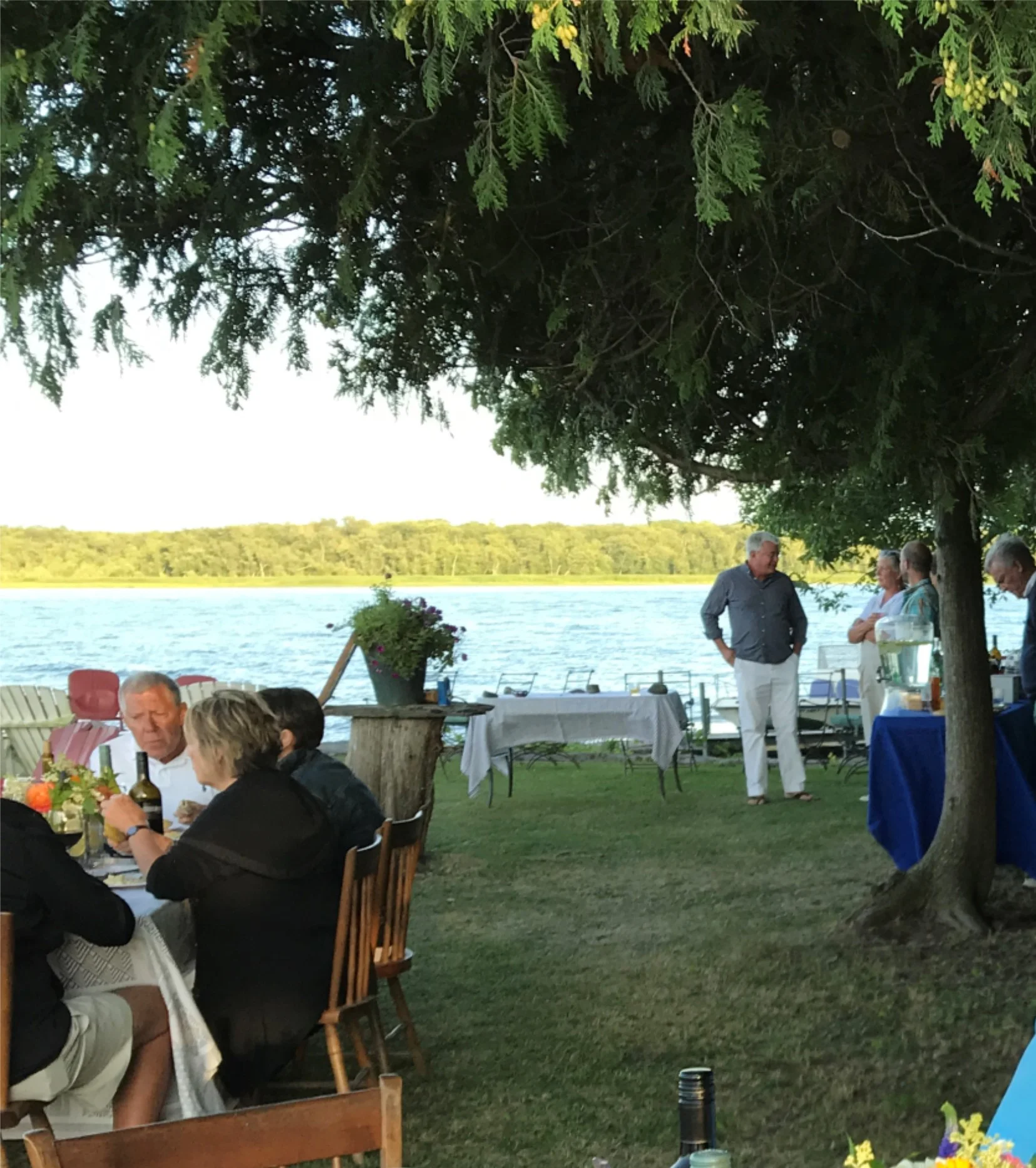 Perfect Picnic 2019
