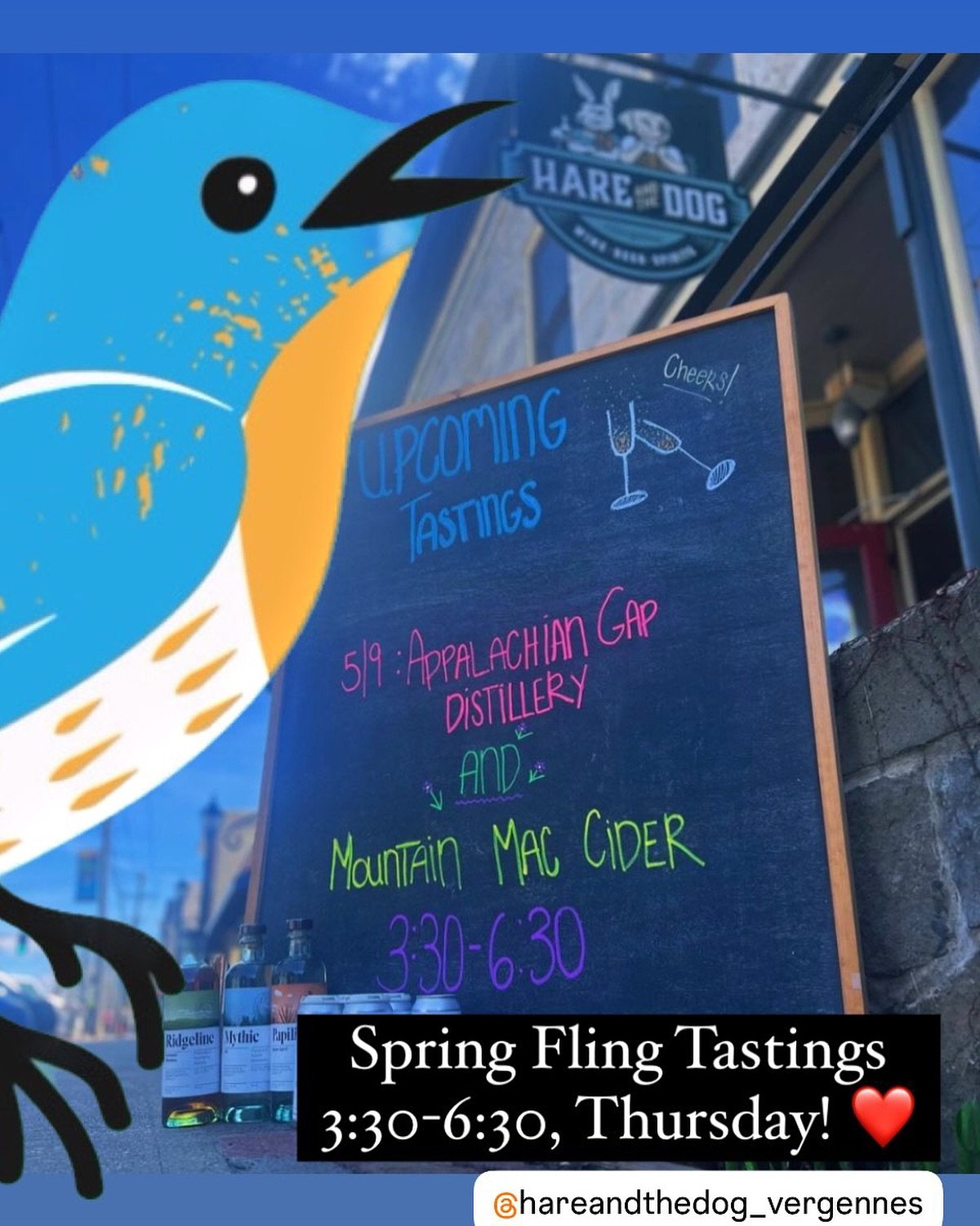 Pop into @hareandthedog_vergennes for Thursday tastings, 3:30-6:30pm. Pumped to have them part of Spring Fling, Downtown, Vergennes! ❤️ 

#vergennes #vergennesvt  #littlecitybigheart