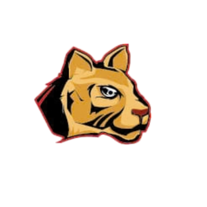 ferrisbugh central school elementary school