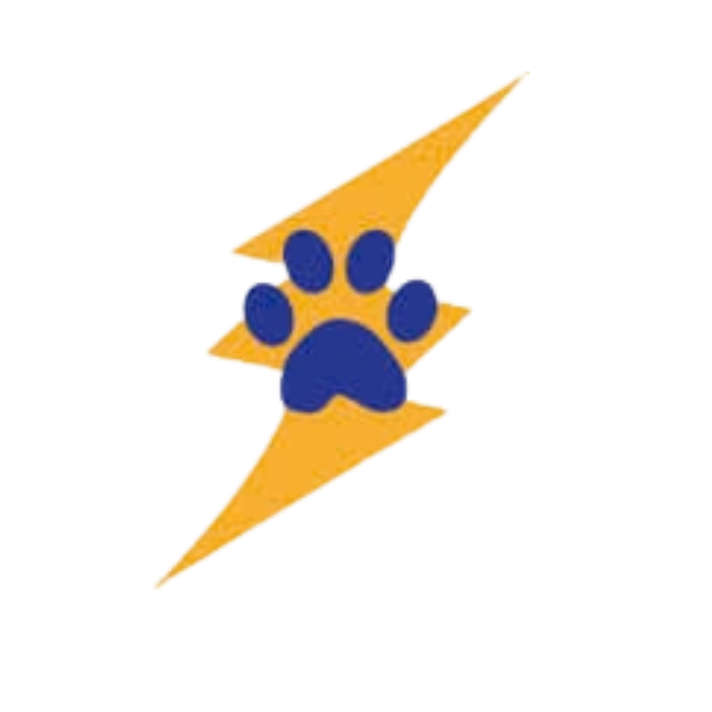 vergennes elementary logo