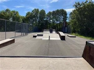 Skateboard park with ramps and rails, surrounded by trees on a sunny day.
