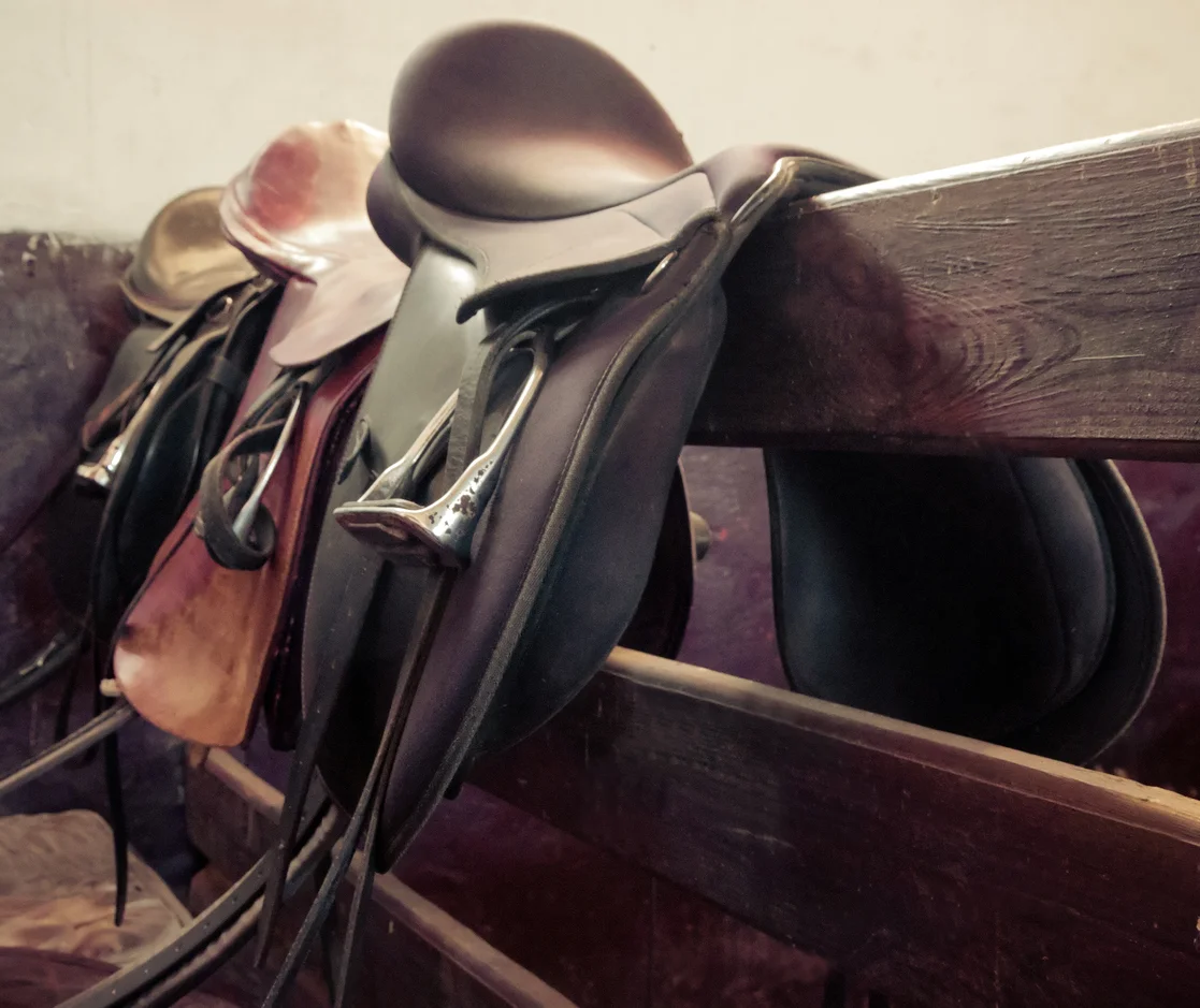 Saddles.jpg