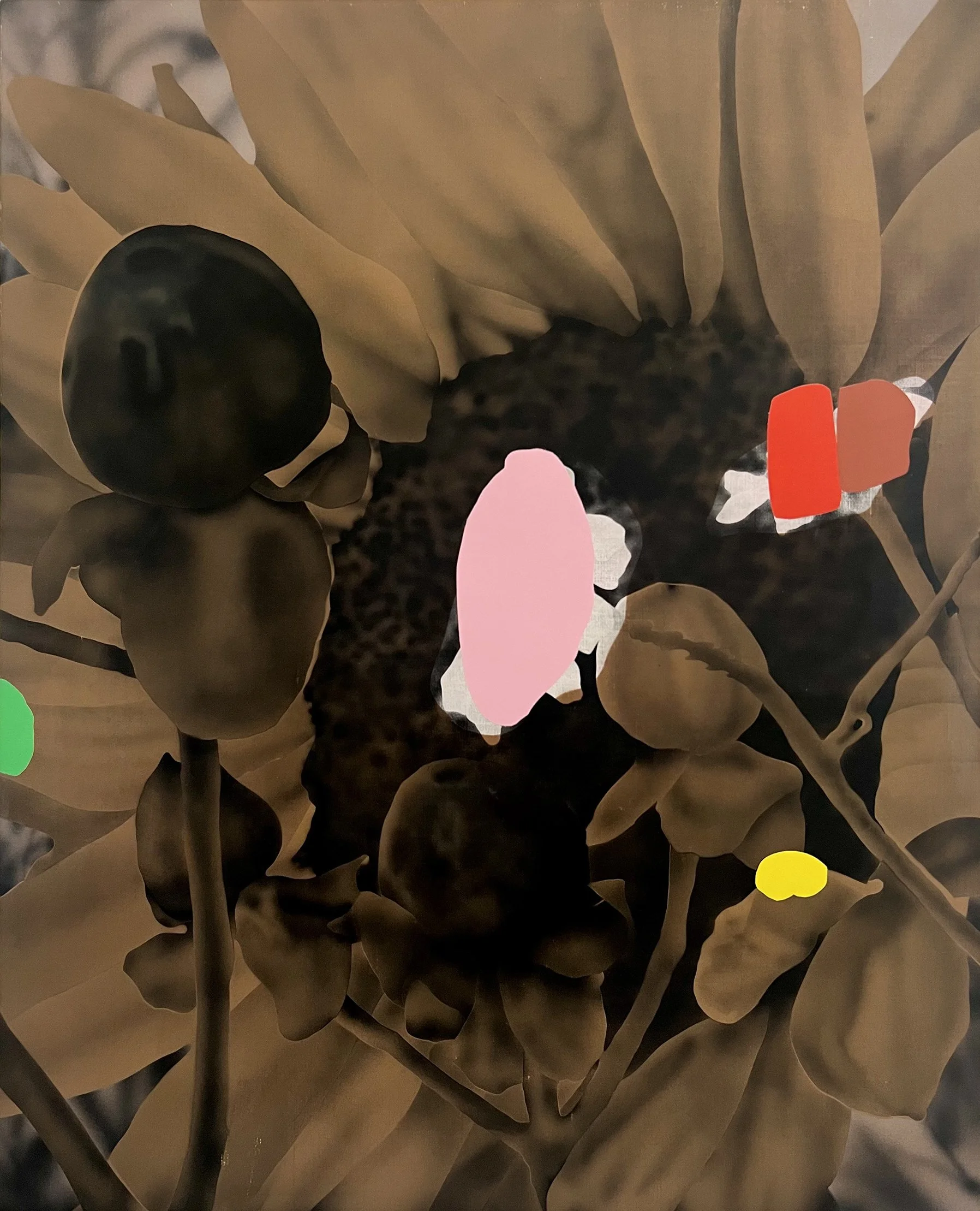 CardboardSun_Web.jpg