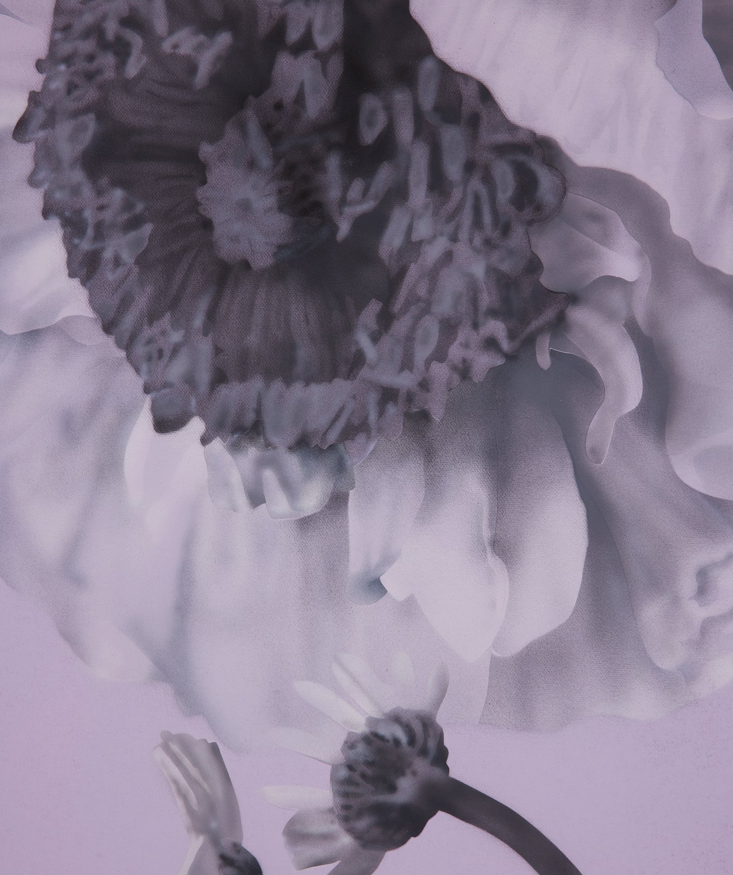 Poppy6.jpg