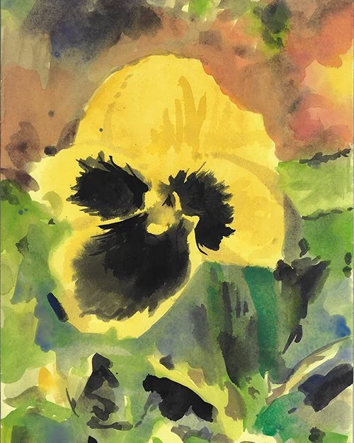 YellowPansyFront.jpg