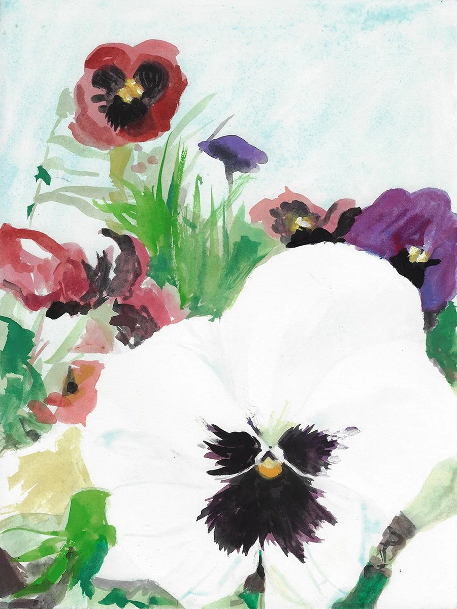 WhitePansy01.jpg