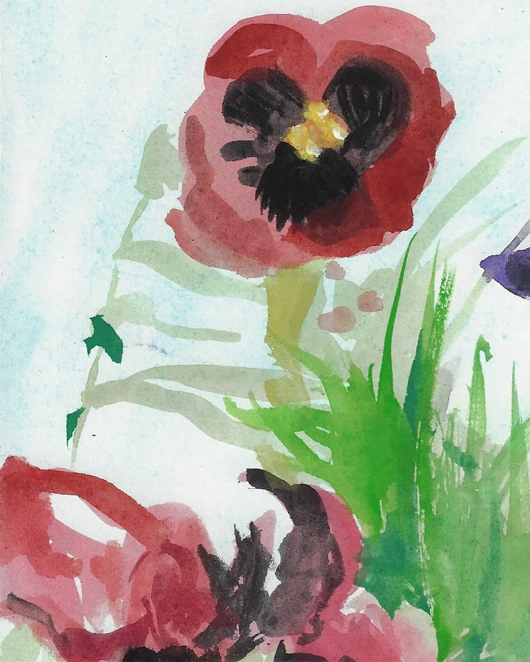 WhitePansy03.jpg