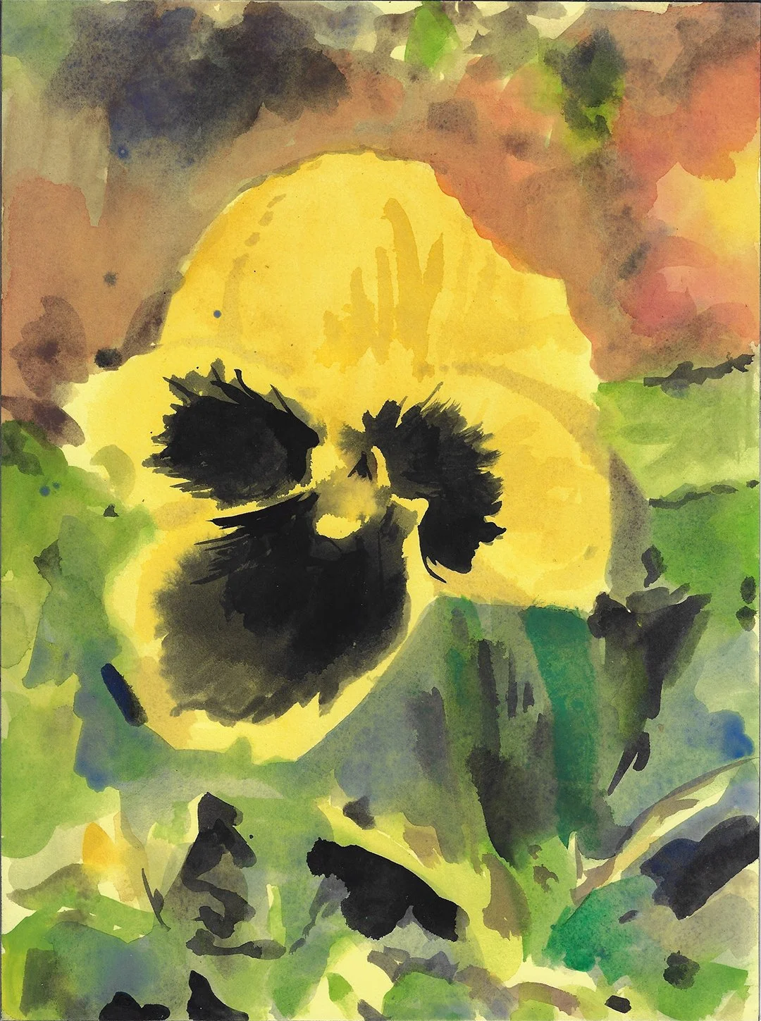 YellowPansy01.jpg