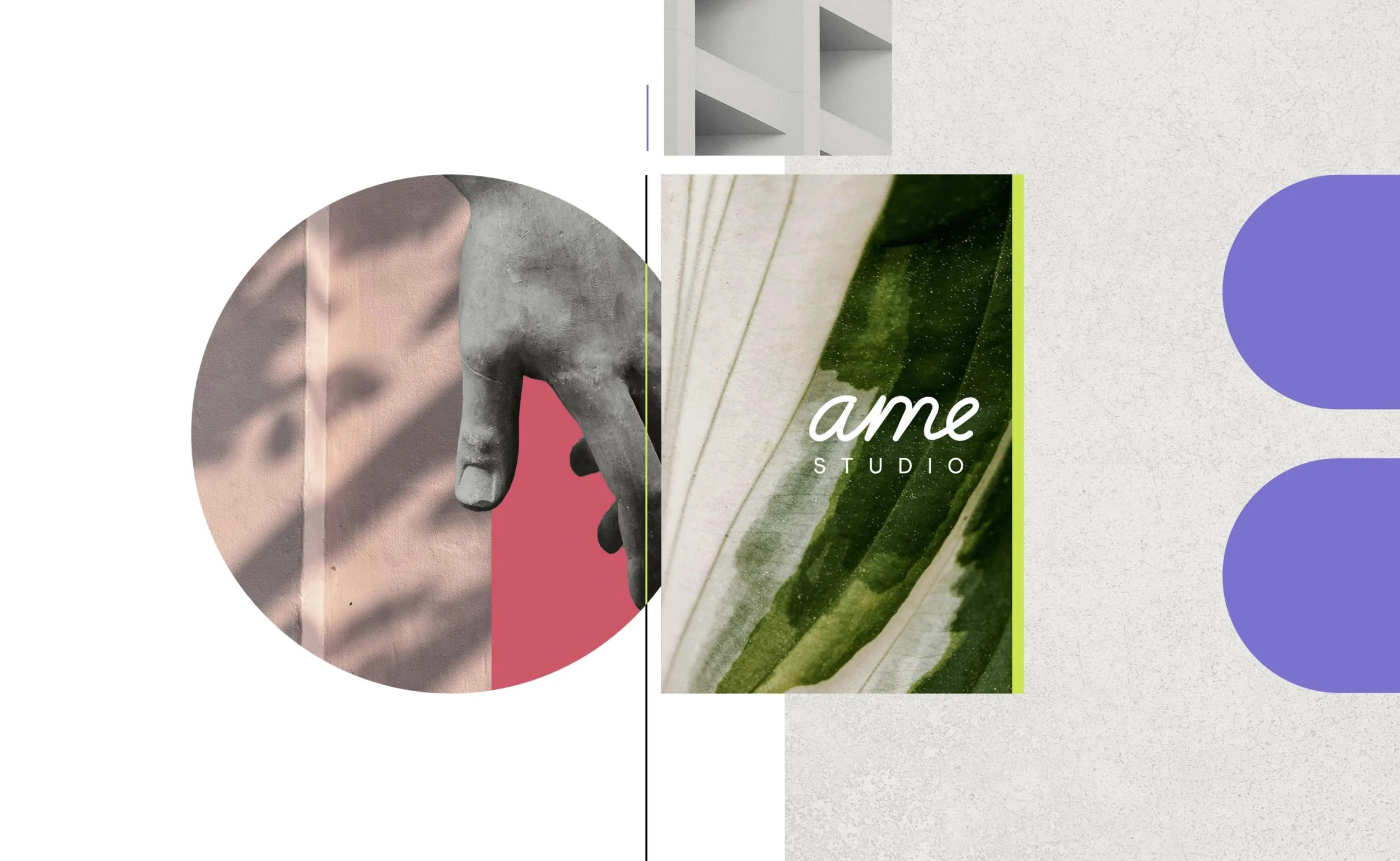 AmeStudio_ConceptoMarca__Lilondra_2025 (dragged).jpg