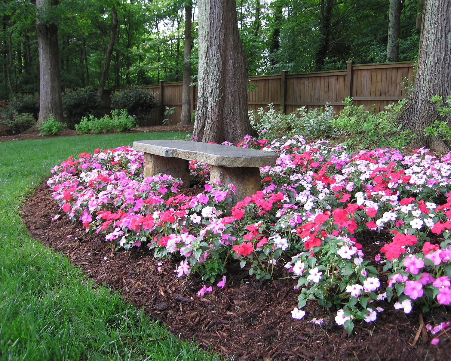 38 Brener-low angle impatiens_8100.jpg