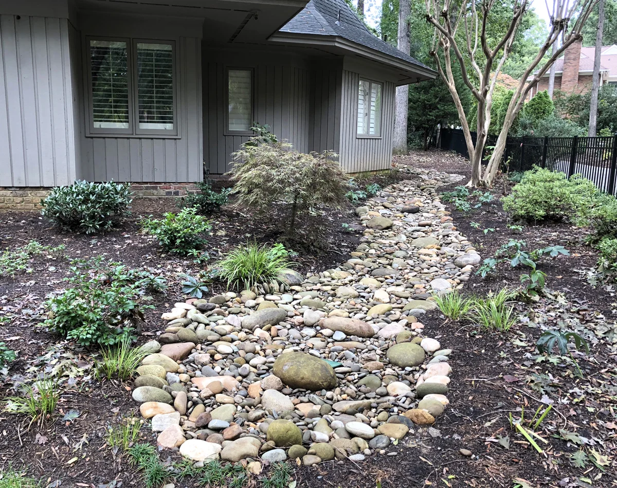 Drainage: How to Manage Your Landscape in a Wet Environment