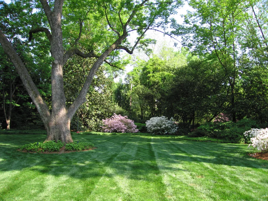 Getting Your Yard Spring Ready