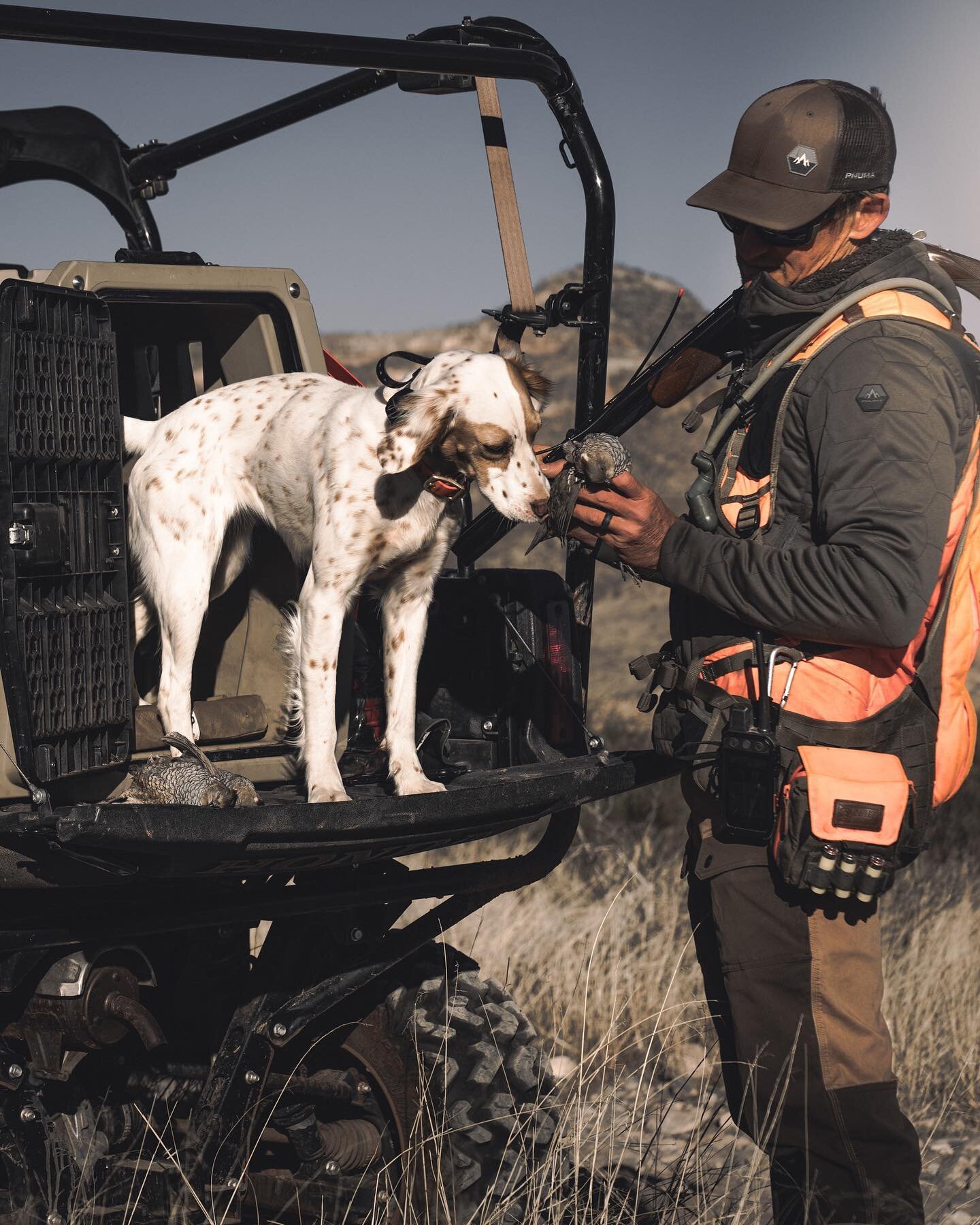 Been seeing lots of young quail running the dirt roads by my house. Hope this upcoming season will be as good as the last!
&bull;
&bull;
&bull;
#uplandhunting #quailhunting #uplandlife #deserthunting #uplandgame #garminhunt #hunting  #scaledquail  #q