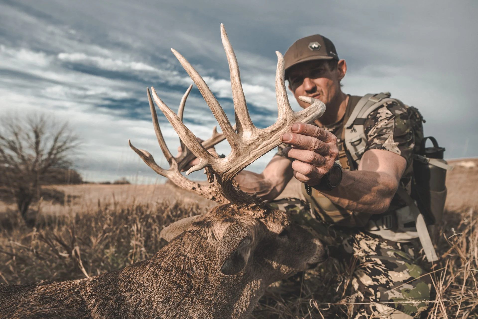 Kansas whitetail buck