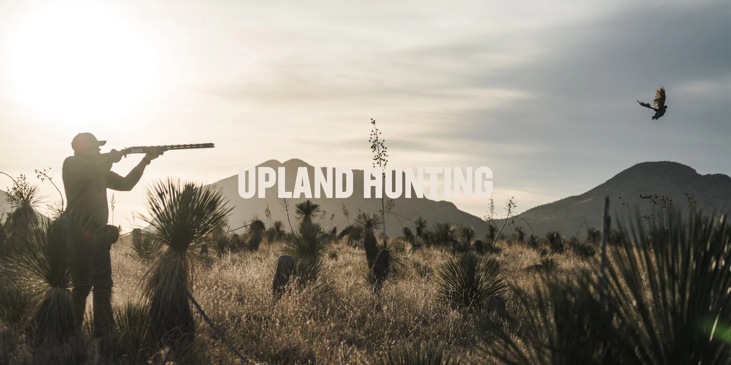 Upland-Hunting-Header-2.jpg