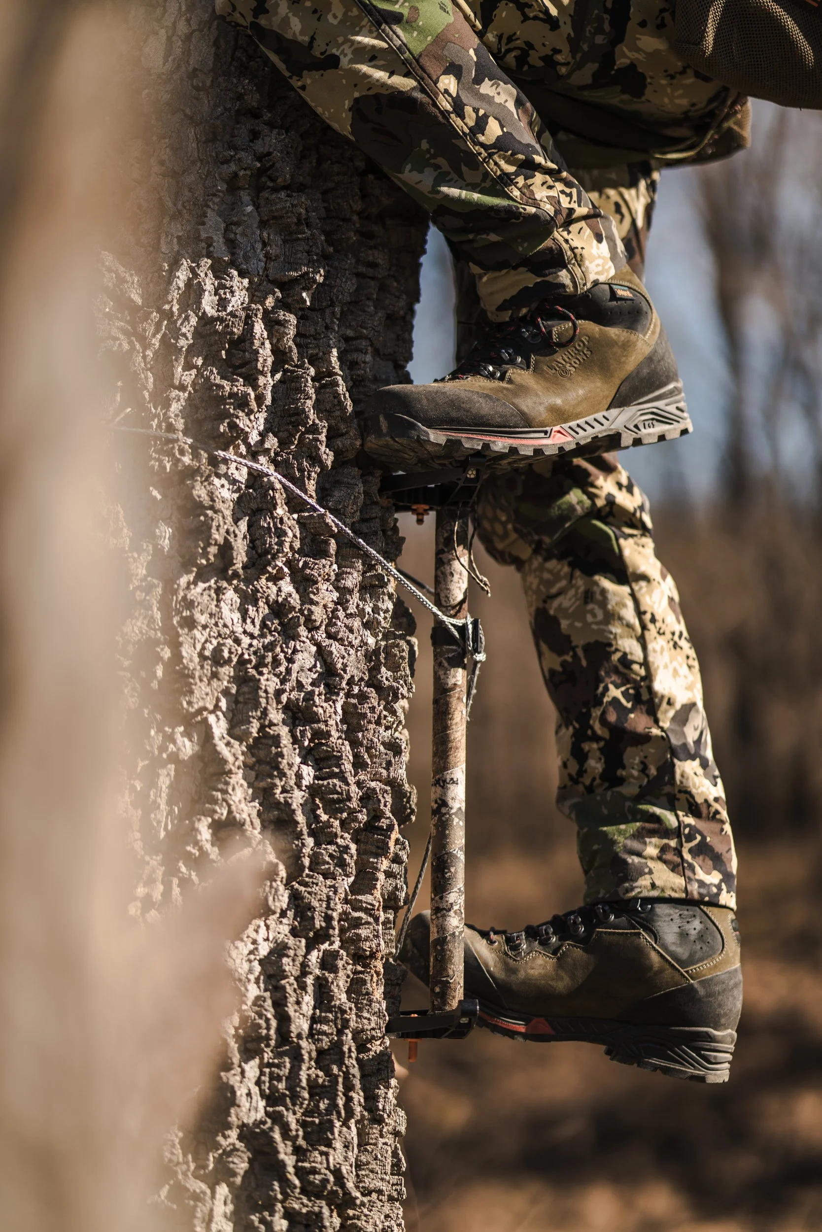 DSC02260.jpg
