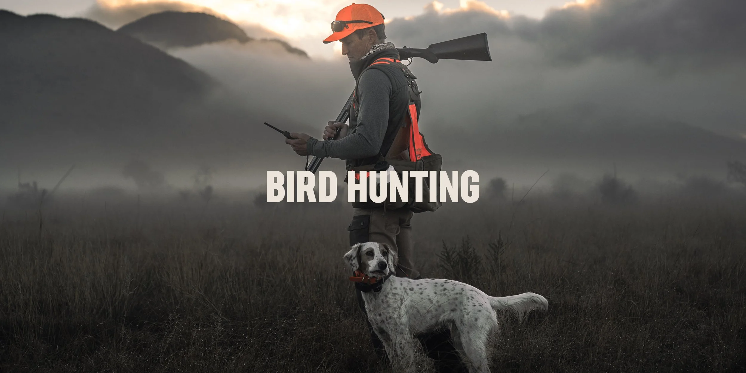 Bird-Hunting-Header-2.jpg