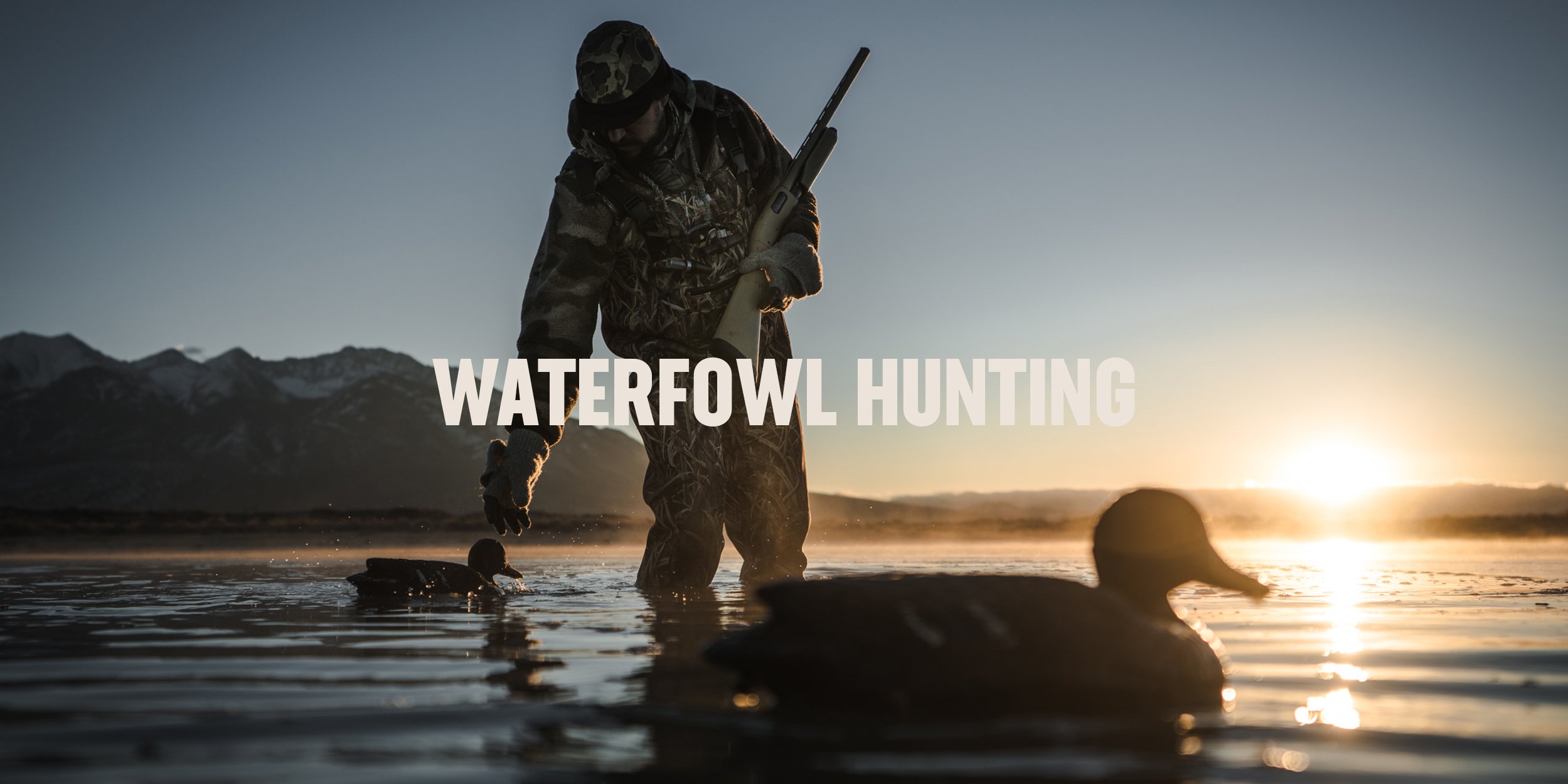 Waterfowl-Headers-2.jpg