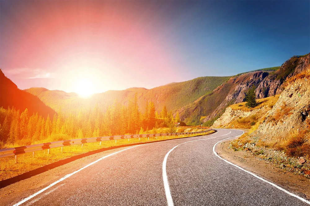 Take Action - Banner Image.jpg