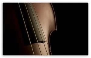 Double Bass-2.jpg