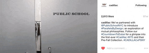 cadillacPublicSchoolSocial1.gif