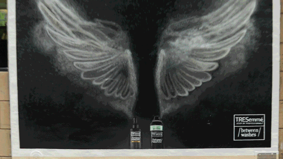 basictrapsmaller.gif