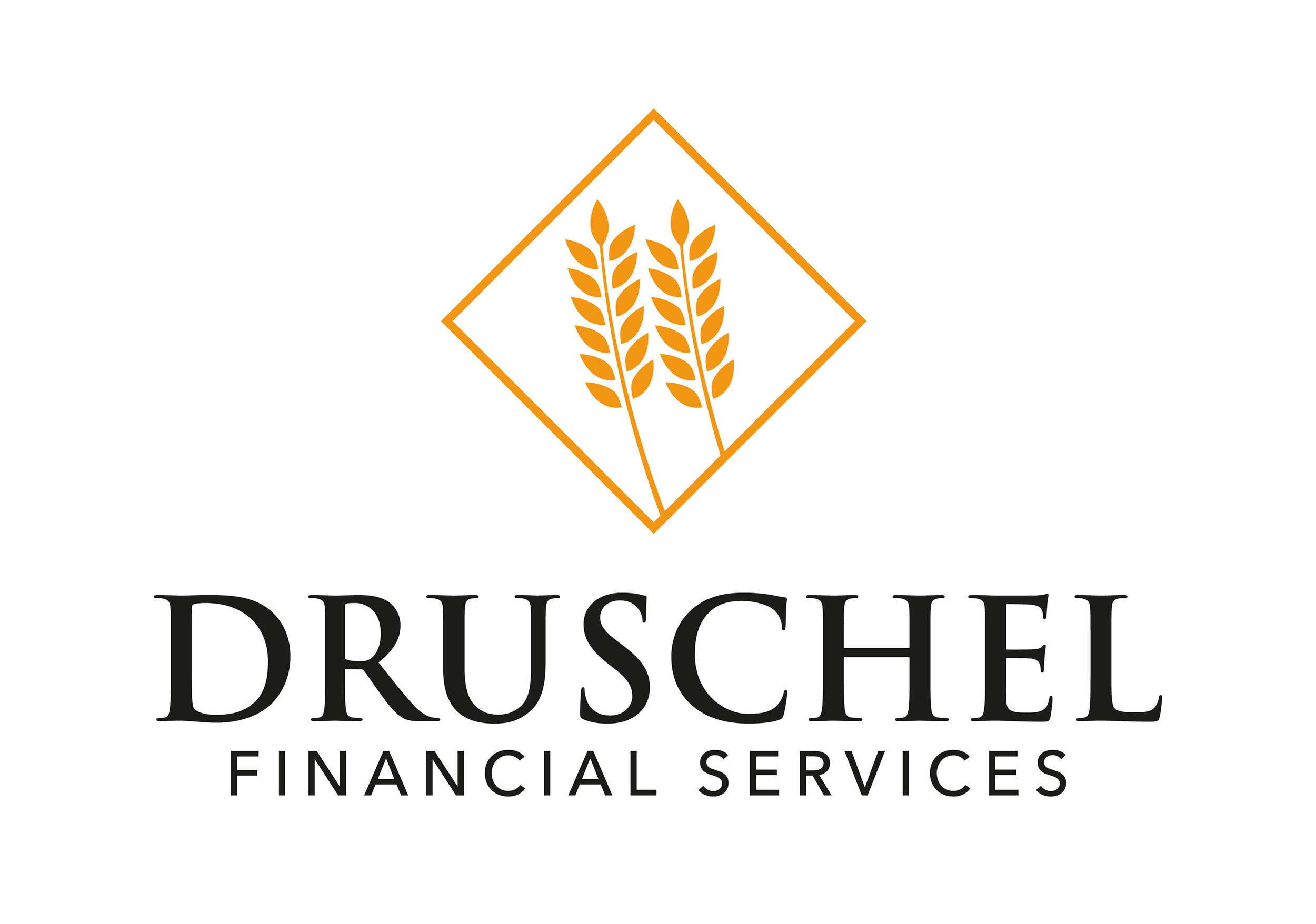 Druschel Financial Services