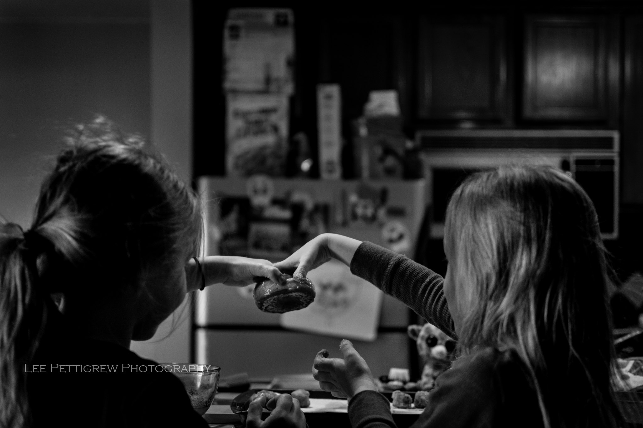 Northern Virginia Family Photographer-5-9.jpg