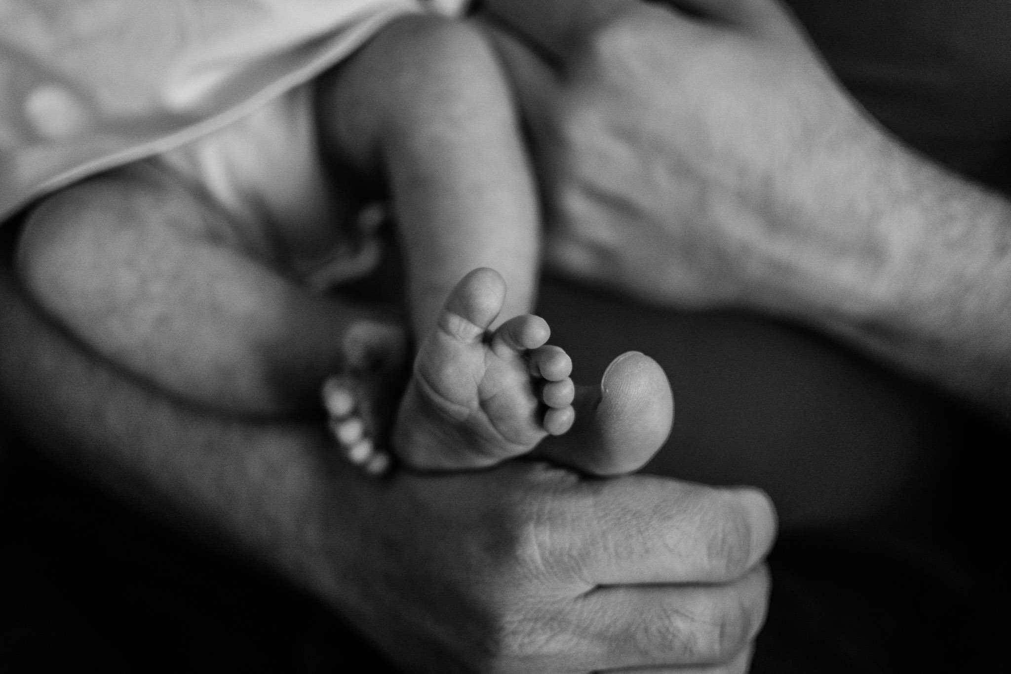 Northern Virginia Newborn Photographer-2.jpg