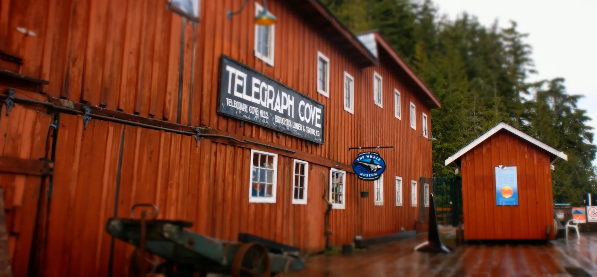 TELEGRAPH COVE is the story of Anna, co-owner and operator of a seasonal wildlife tour company whose husband, Dave, mysteriously goes missing during a private, end-of-the-season film charter. When the coast guard call off the search with no leads or logical explanation for their disappearance, Anna takes matters into her own hands to discover the truth.