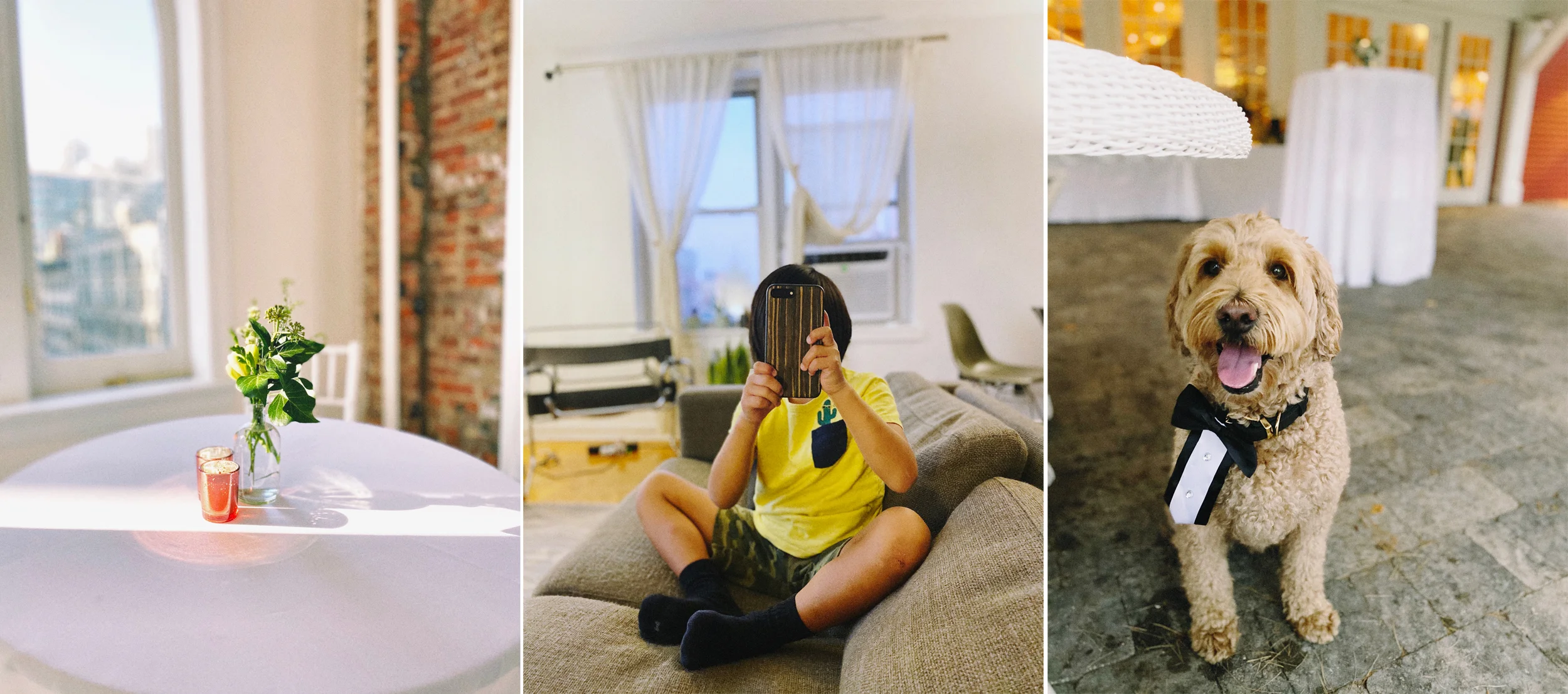 Three examples of Portrait mode on iPhone 11 Pro.