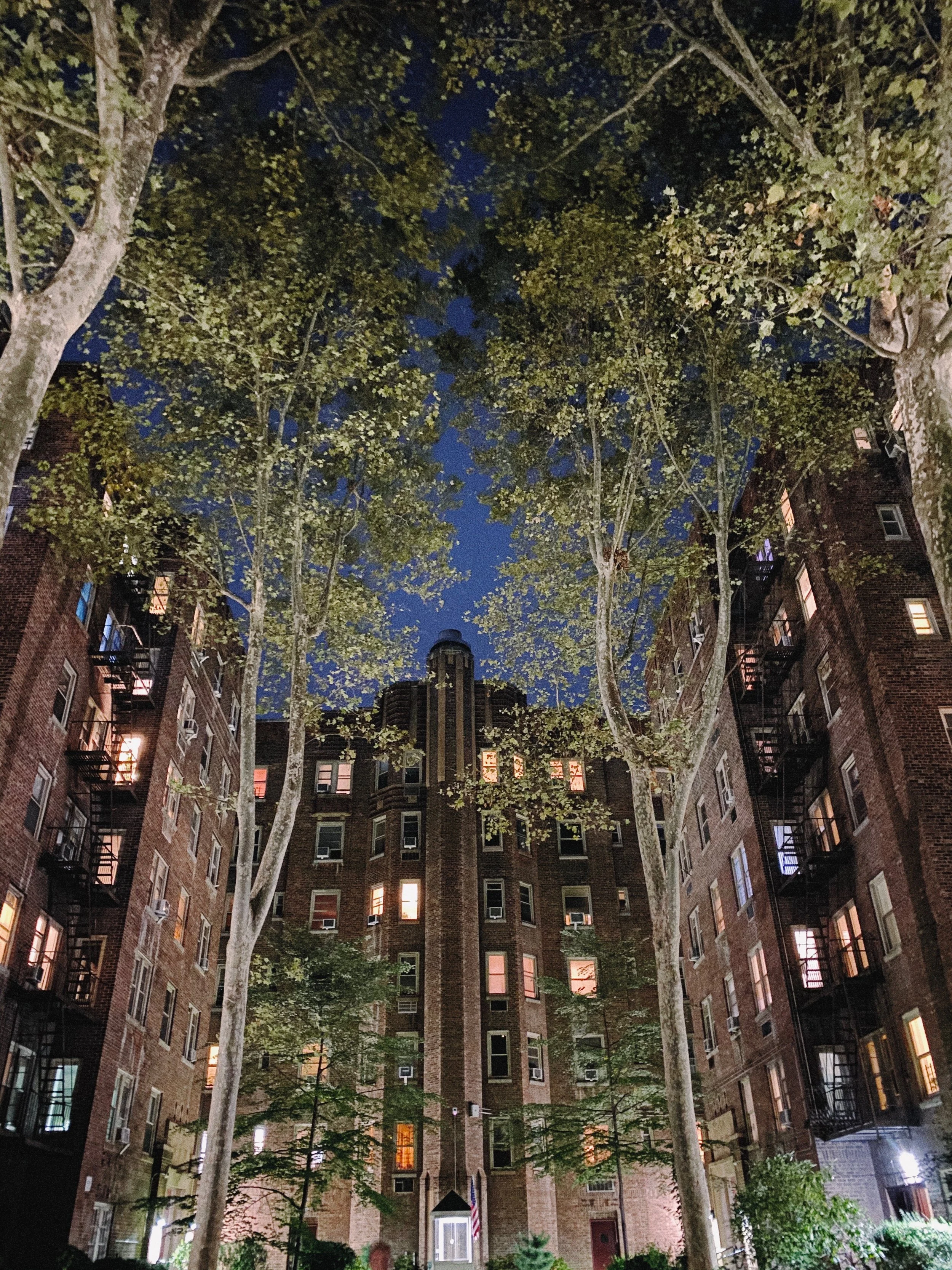 I've taken this photo of my courtyard many times, but the scene never looked this. Notice the uplighting on the trees and the buildings.