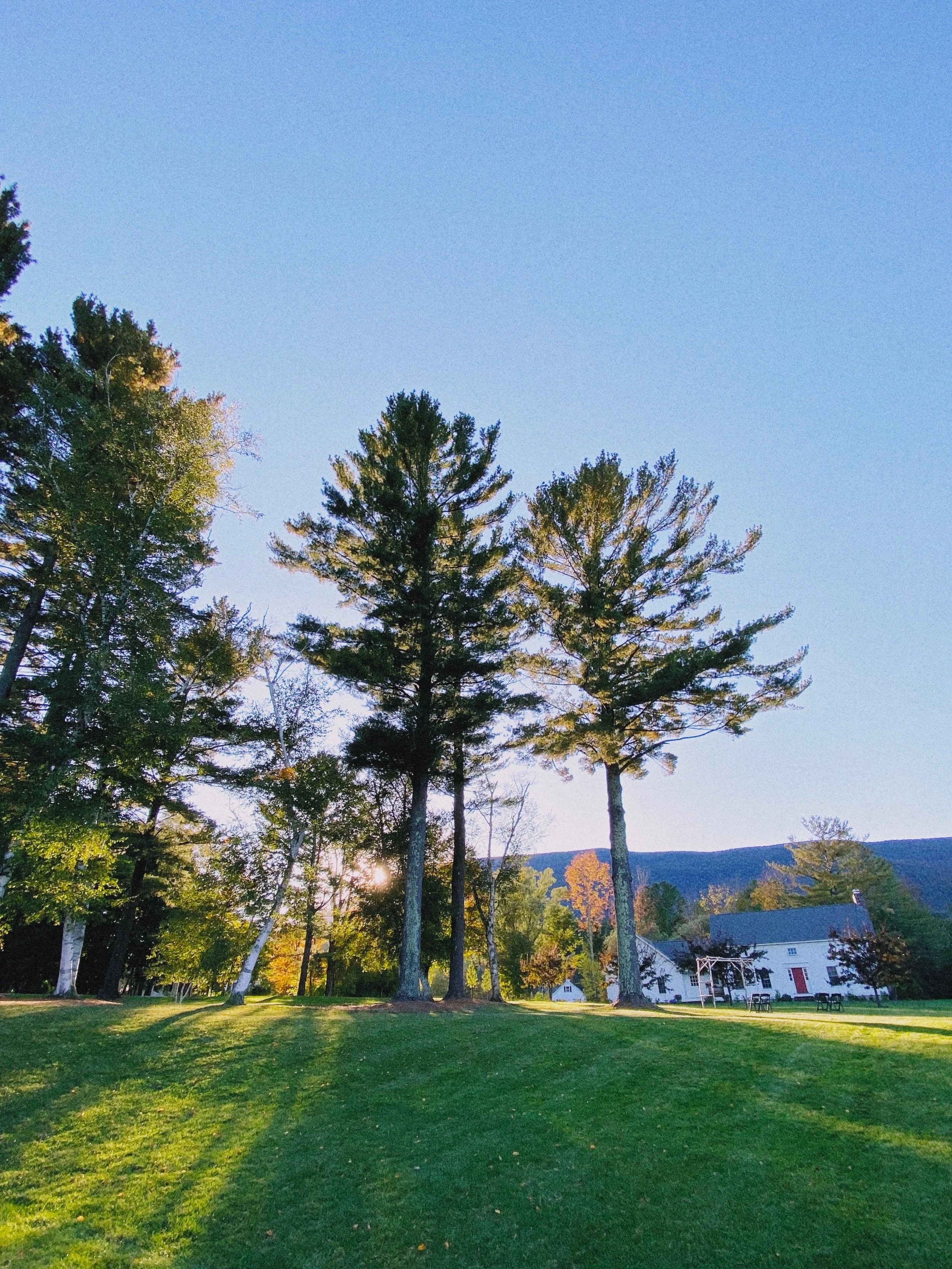 Taken in Vermont about two hours before sunset. The Smart HDR has come a long way.